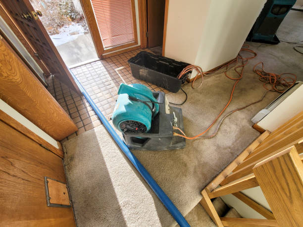 Best Mold removal after water damage  in Sutherlin, OR
