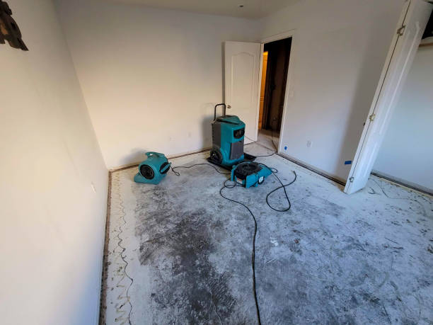 Best Water damage restoration services  in Sutherlin, OR