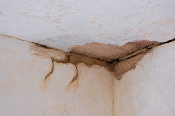 Best Water damage restoration insurance claims  in Sutherlin, OR