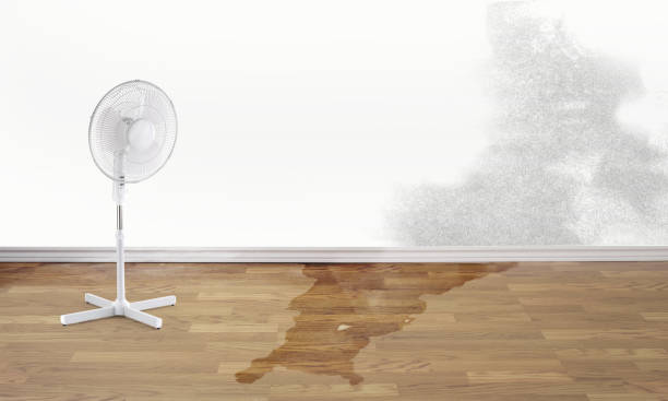 Best Ceiling water damage repair  in Sutherlin, OR