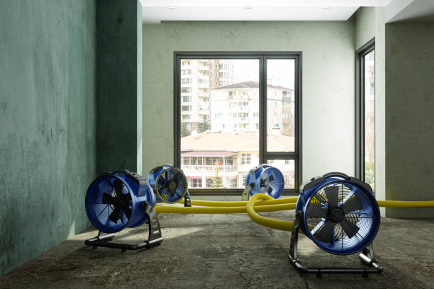 Best Water damage repair service  in Sutherlin, OR
