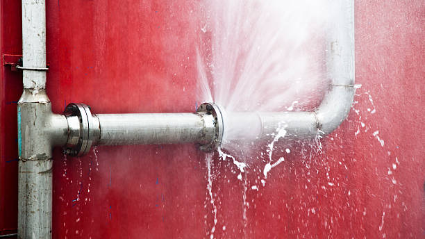 Best Carpet water damage restoration  in Sutherlin, OR